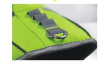 Zippypaws Aquapup Dog Life Vest - Premium Swimwear For Dogs