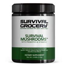 Fermented Mushroom Blend