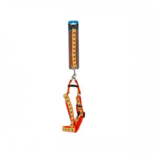 Paw Print Dog Leash & Adjustable Harness - Pack of 4