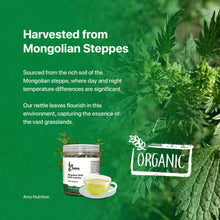 Mongolian Stinging Nettle Leaf Tea (Bulk)