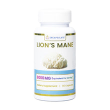Encapsulate Lion's Mane Mushroom 8:1