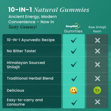 Himalayan Shilajit Gummies – 60 Gummies | 3000mg RHE per Serving | Herbal Wellness Blend with Natural Cherry Flavor
