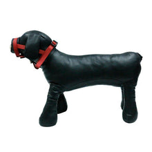 Anti-Eating Dog Mouth Cover With Multifunctional Collars