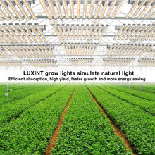 LUXINT LED Grow Lights for Seed Starting,Actual Power 720W 40x40 Inches Best Full Spectrum Professional Grow Lights for Hydroponic, Greenhouse, Grow Tent, Veg&Flower Commercial